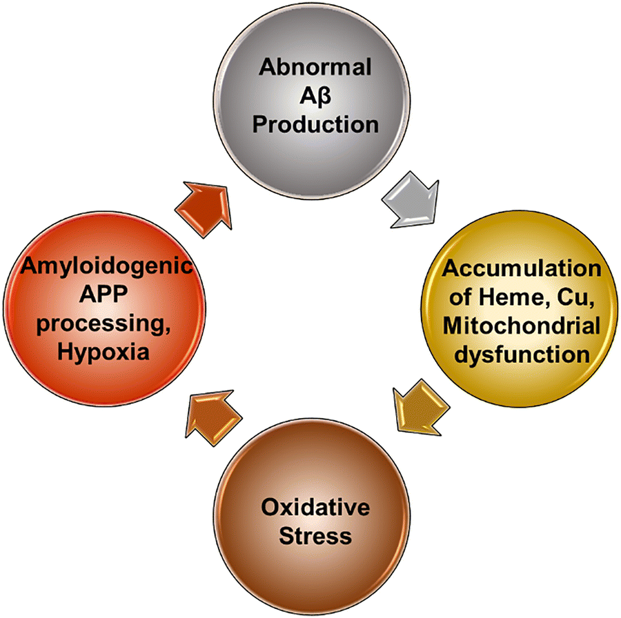 Mechanism of oxidative stress and neurotoxicity associated with