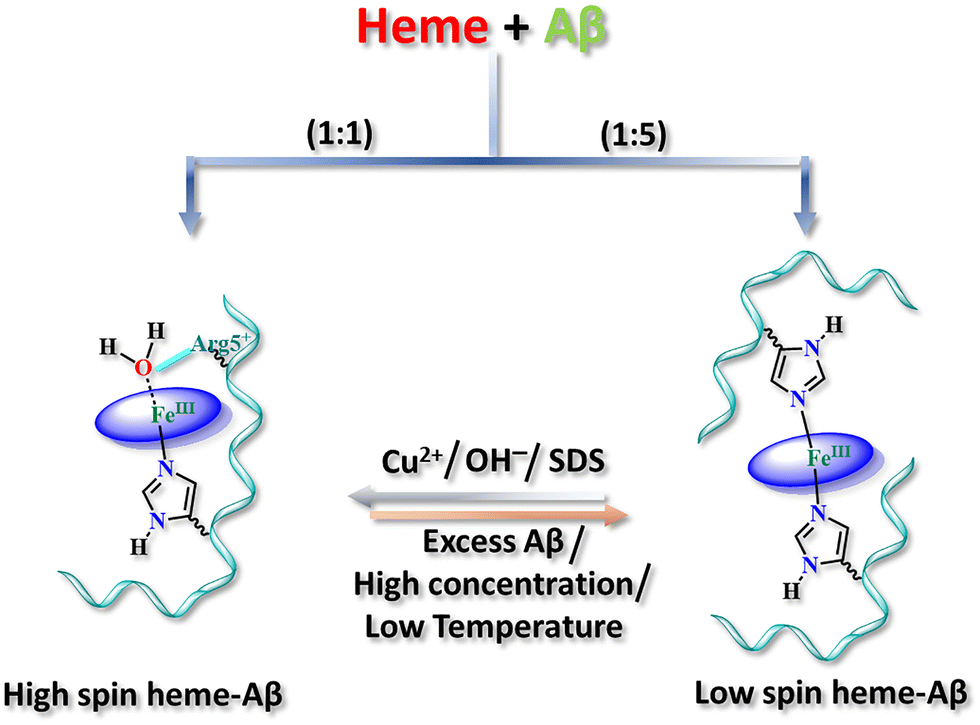 Mechanism of oxidative stress and neurotoxicity associated with