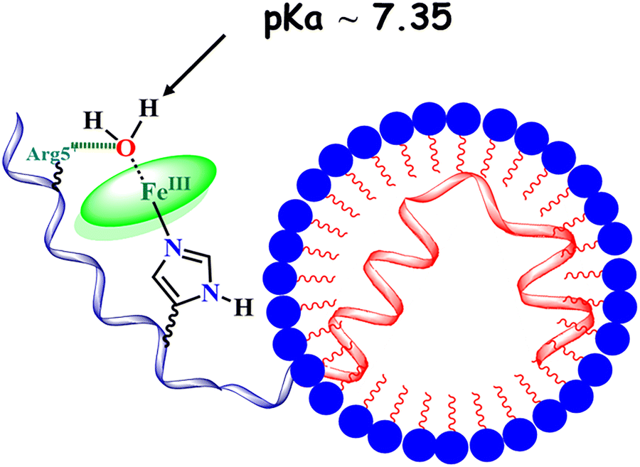 Mechanism of oxidative stress and neurotoxicity associated with