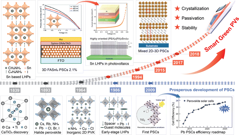 image file: d5cs00560d-f1.tif