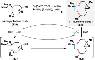 image file: d5cs00760g-s38.tif