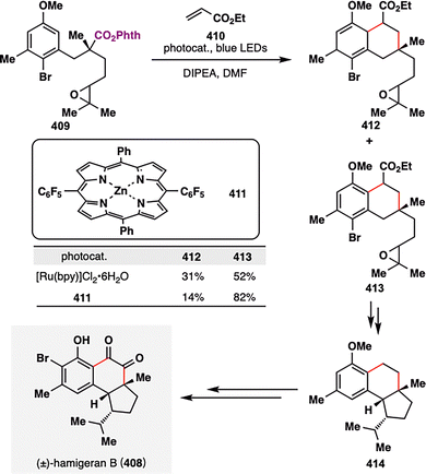 image file: d5cs00760g-s50.tif