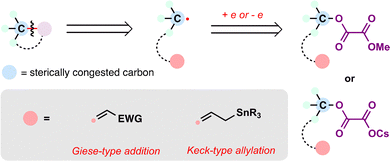 image file: d5cs00760g-s82.tif