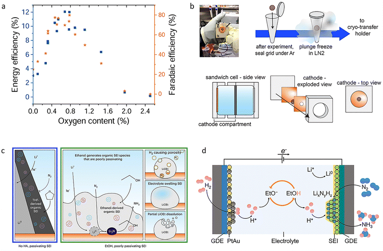 image file: d5cs00969c-f10.tif