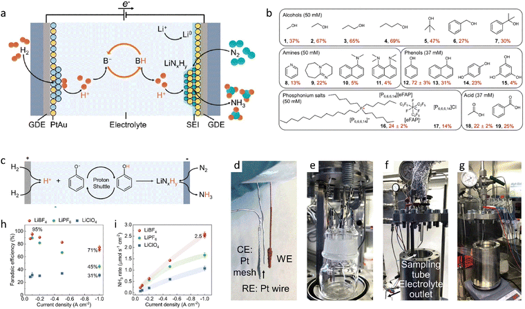 image file: d5cs00969c-f11.tif