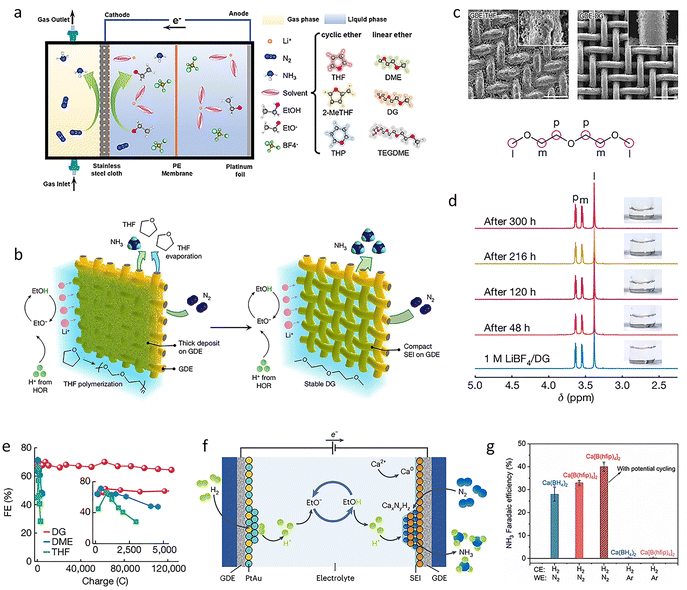 image file: d5cs00969c-f12.tif