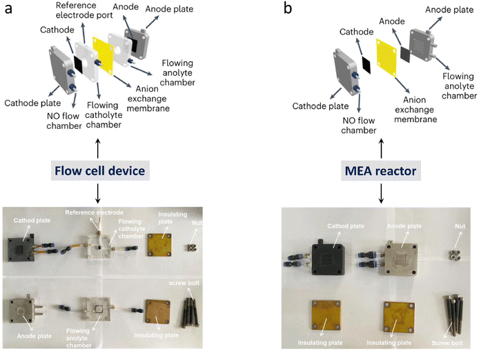 image file: d5cs00969c-f13.tif
