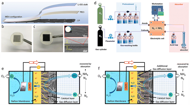 image file: d5cs00969c-f15.tif