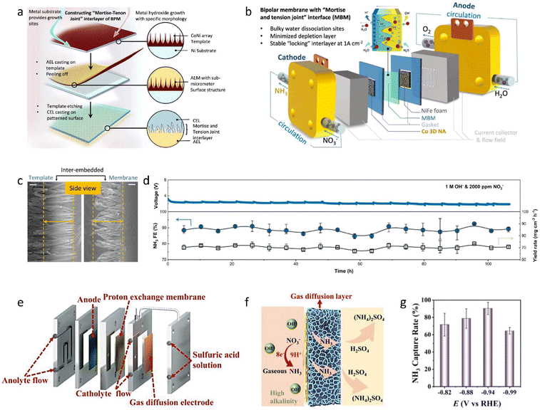 image file: d5cs00969c-f17.tif