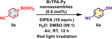 image file: d5cy00131e-u2.tif