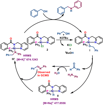 image file: d5cy00718f-s6.tif