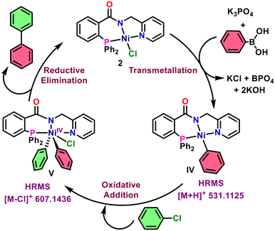 image file: d5cy00718f-s9.tif