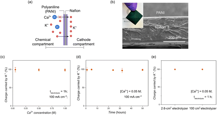 image file: d4ee04881d-f3.tif