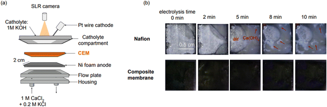 image file: d4ee04881d-f4.tif