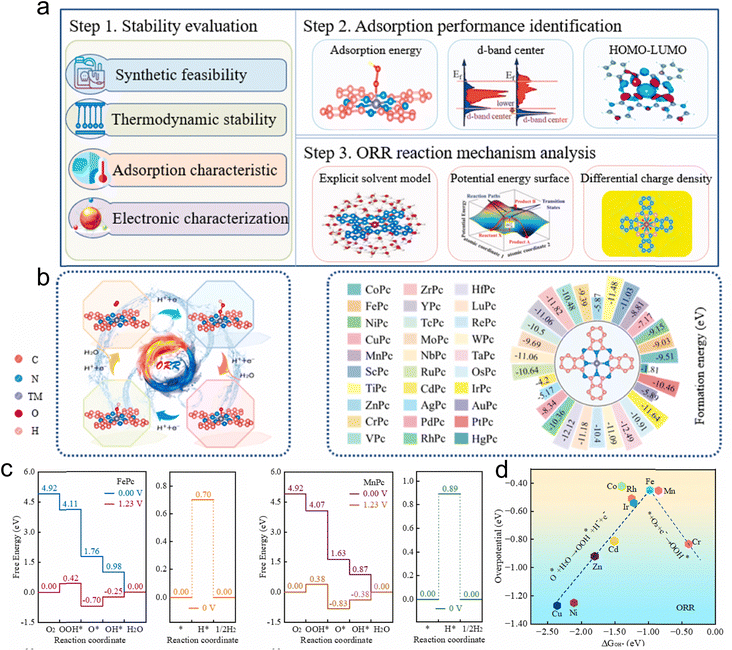From lab-scale to industrialization: atomically M–N–C catalysts