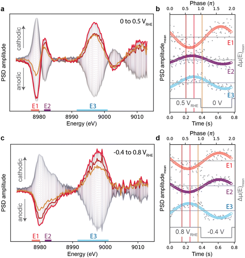 The electrode–electrolyte interface of Cu via modulation