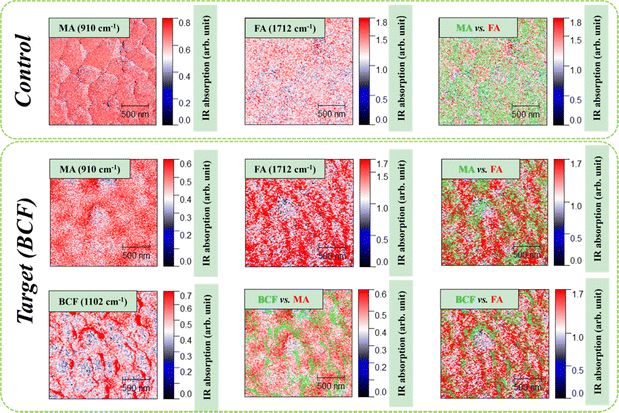 image file: d5ee03984c-f3.tif