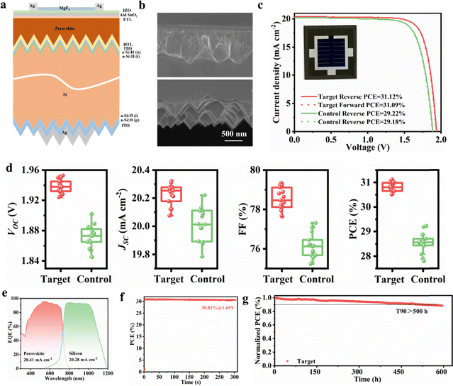 image file: d5ee03984c-f6.tif