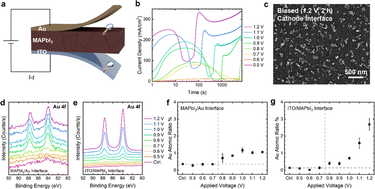 image file: d5ee04569j-f1.tif