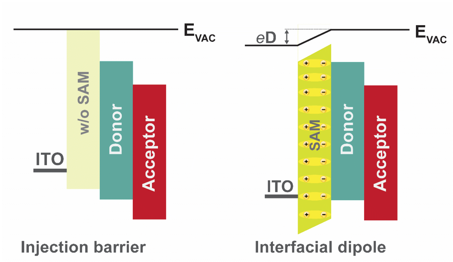 Advances in self-assembled monolayer-engineered organic