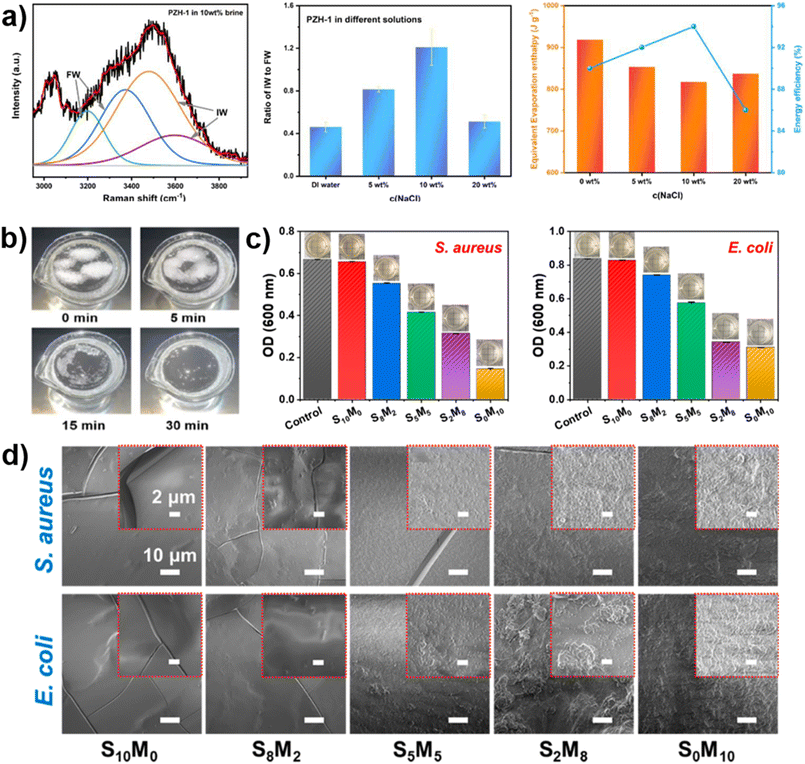 image file: d5el00048c-f7.tif
