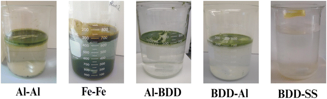 image file: d5ew00518c-f3.tif