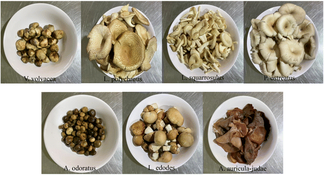 image file: d5fb00346f-f1.tif