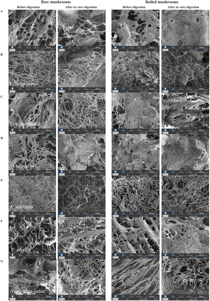 image file: d5fb00346f-f2.tif