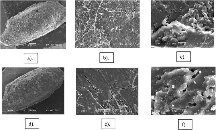 image file: d5fb00413f-f4.tif