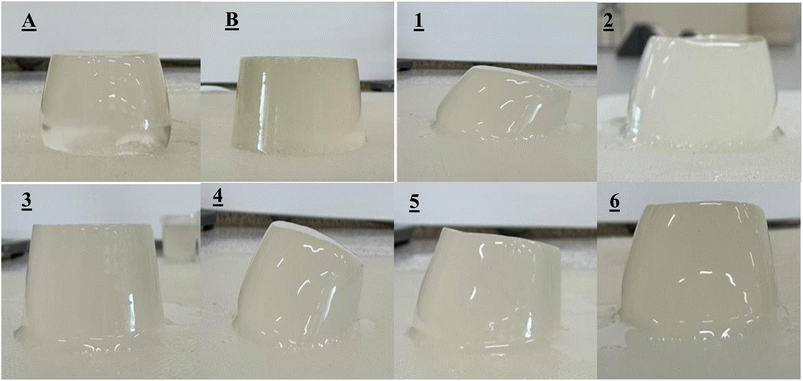 image file: d5fb00416k-f2.tif