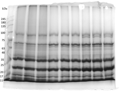 image file: d5fb00437c-f7.tif