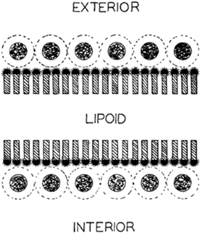 image file: d5fd00091b-f1.tif