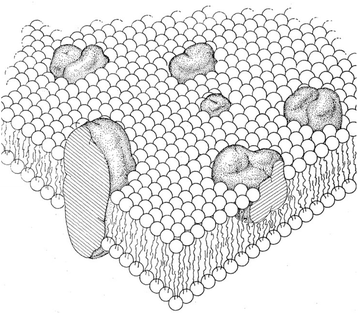 image file: d5fd00091b-f2.tif