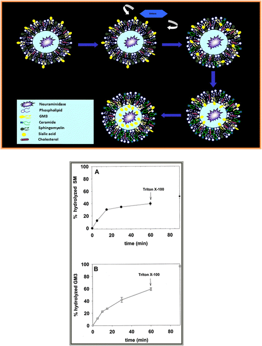 image file: d5fd00091b-f3.tif