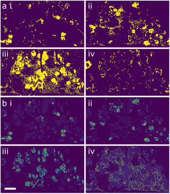 image file: d5fd00101c-f3.tif