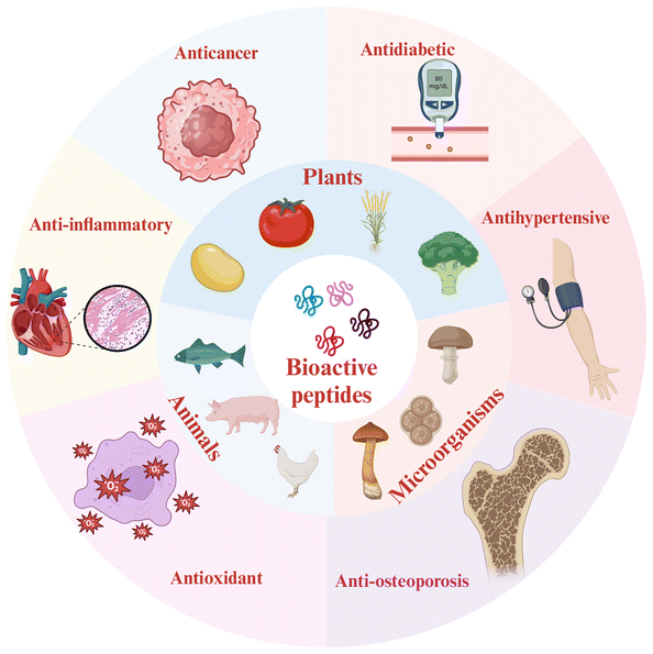 image file: d4fo04447a-f1.tif