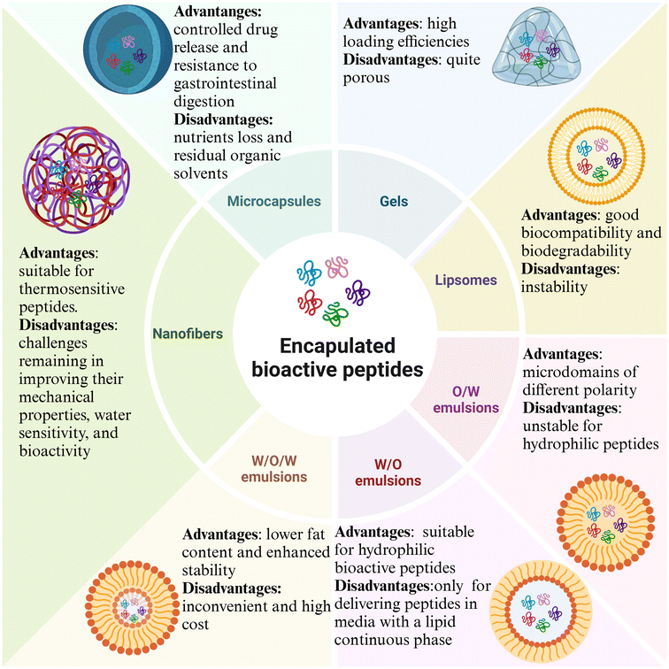 image file: d4fo04447a-f3.tif