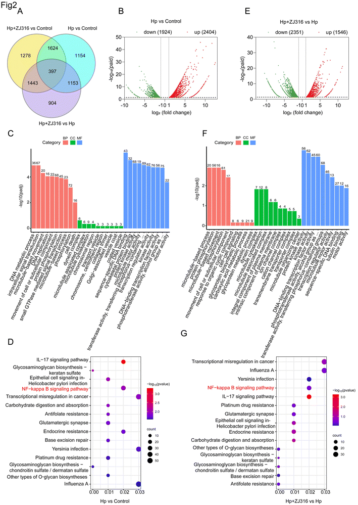 image file: d4fo06308b-f2.tif
