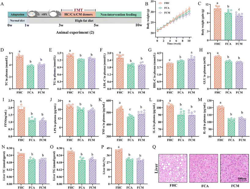 image file: d5fo00384a-f3.tif