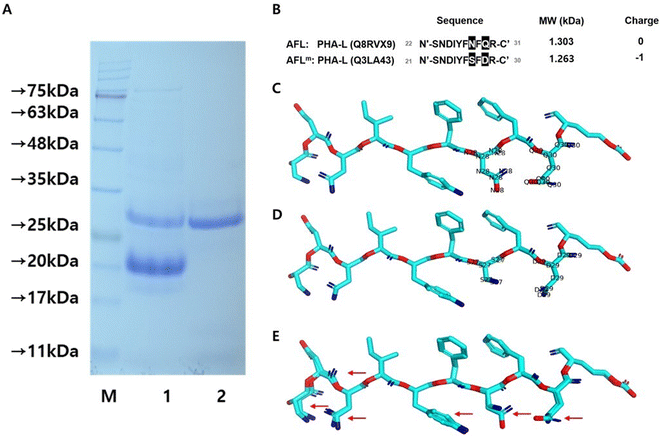 image file: d5fo01554e-f2.tif