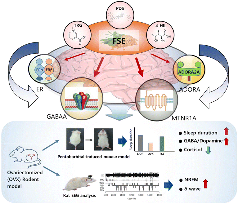 image file: d5fo03393d-f11.tif