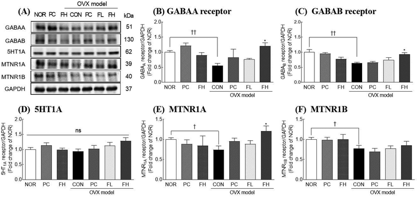 image file: d5fo03393d-f5.tif