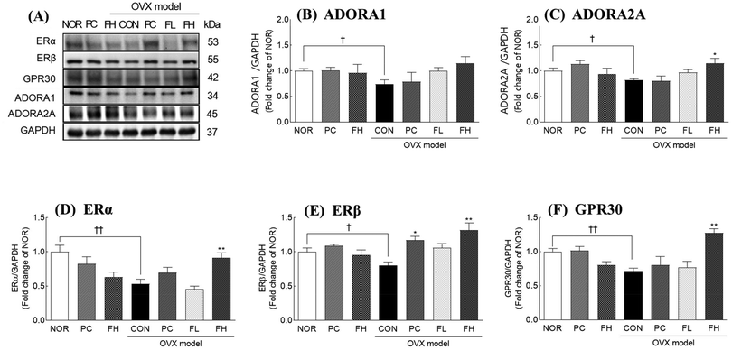 image file: d5fo03393d-f6.tif