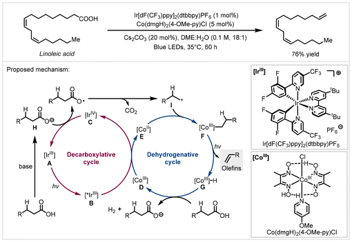 image file: d4gc04788e-s9.tif
