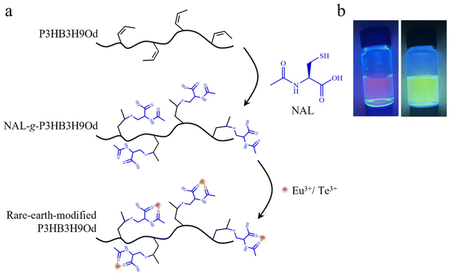 image file: d5gc02422f-f10.tif