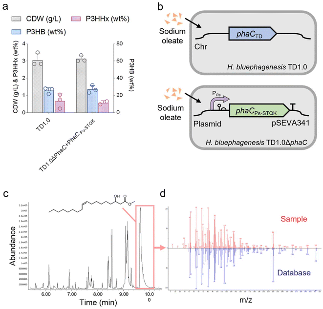 image file: d5gc02422f-f2.tif