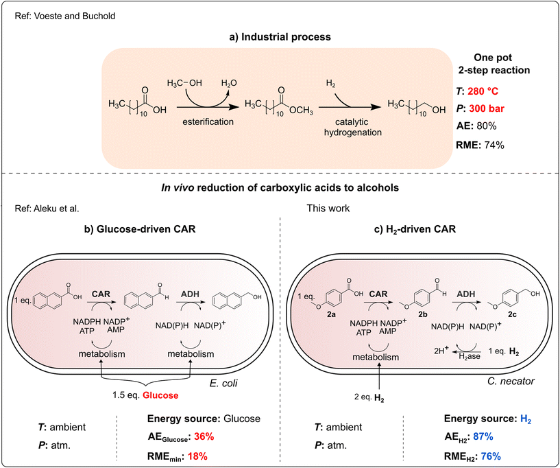 image file: d5gc03751d-f1.tif