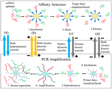 image file: d4lc00859f-f2.tif