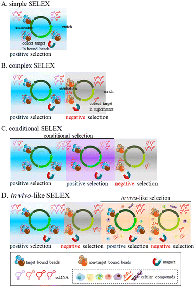 image file: d4lc00859f-f3.tif