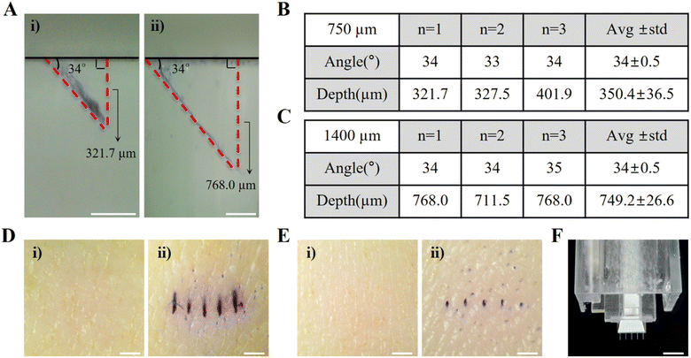 image file: d5lc00199d-f3.tif